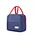 Picnic Cooler Bag